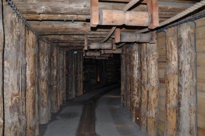 Wycieczka Wieliczka - Kraków #5