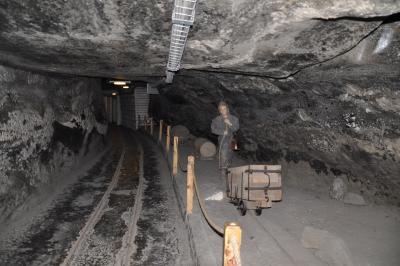 Wycieczka Wieliczka - Kraków #6