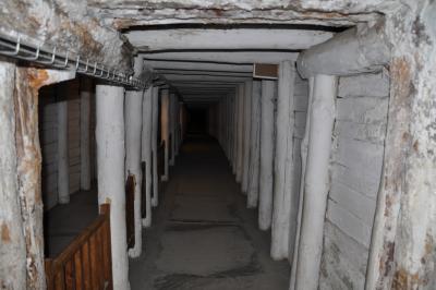 Wycieczka Wieliczka - Kraków #7