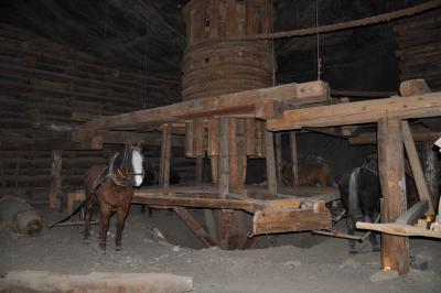 Wycieczka Wieliczka - Kraków #8