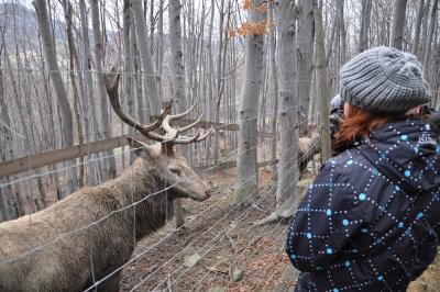 Akcja gdzie ta zima #10