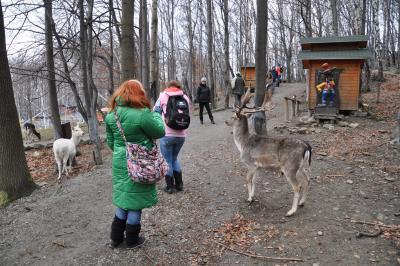 Akcja gdzie ta zima #11
