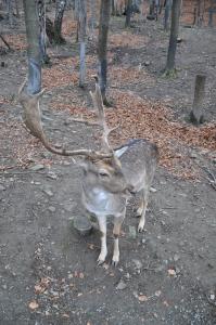 Akcja gdzie ta zima #12