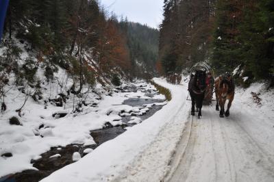 Akcja gdzie ta zima #13