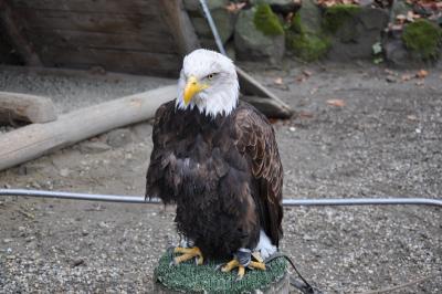 Akcja gdzie ta zima #3