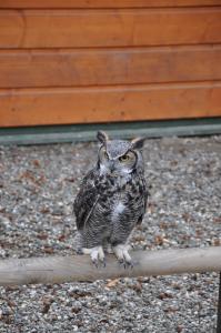 Akcja gdzie ta zima #4