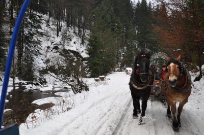 Akcja gdzie ta zima #6