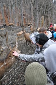 Akcja gdzie ta zima #7