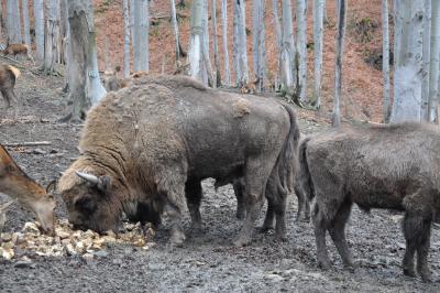 Akcja gdzie ta zima #8