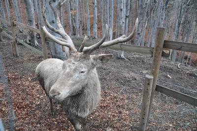 Akcja gdzie ta zima #9