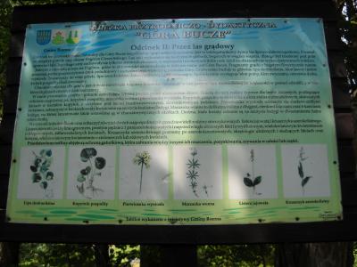 Szlakiem Kacperka góreckiego skrzata i przyjaciół 5