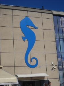 Wakacje w Jastarni #19