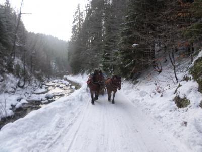 Mamy już cztery lata :) #6