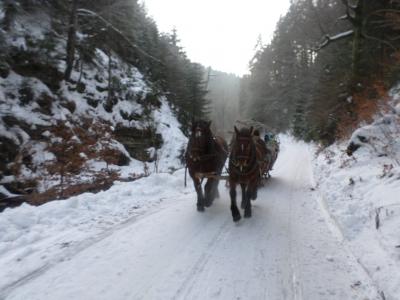 Mamy już cztery lata :) #7