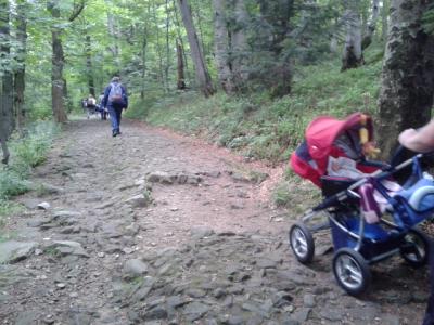 WAKACYJNE WĘDROWANIE #1