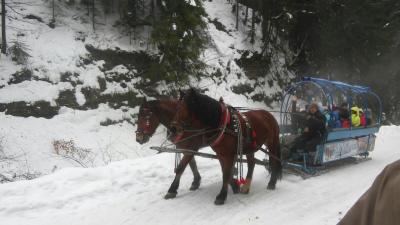 Wyjazd integracyjny do Wisły #2