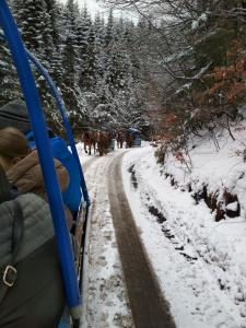 #Wyjazd integracyjny do Wisły - kulig 1