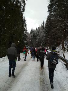 #Wyjazd integracyjny do Wisły - kulig 3