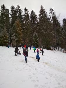 #Wyjazd integracyjny do Wisły - kulig 5