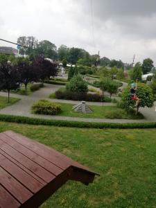 Wakacyjny „Dream Park – Ochaby” #2